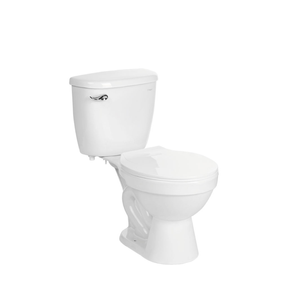 Inodoro taza tanque asiento punta sal blanco