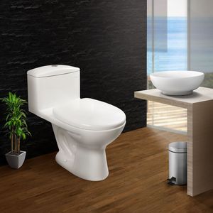 Combo Inodoro One Piece Ibiza Comercial + Bowl para baño Bari Blanco